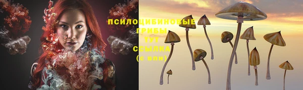 прущая мука Беломорск