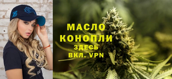 молекула духа Богданович
